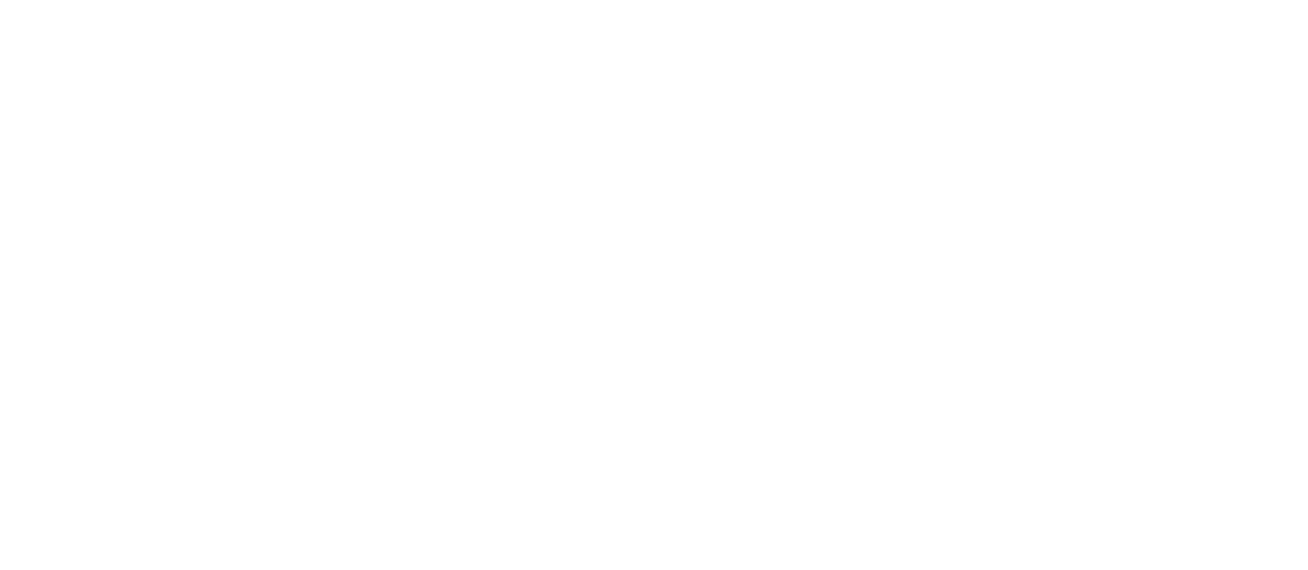 Logo TerZakeExcel_wit-04